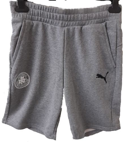 Grey Casual Shorts